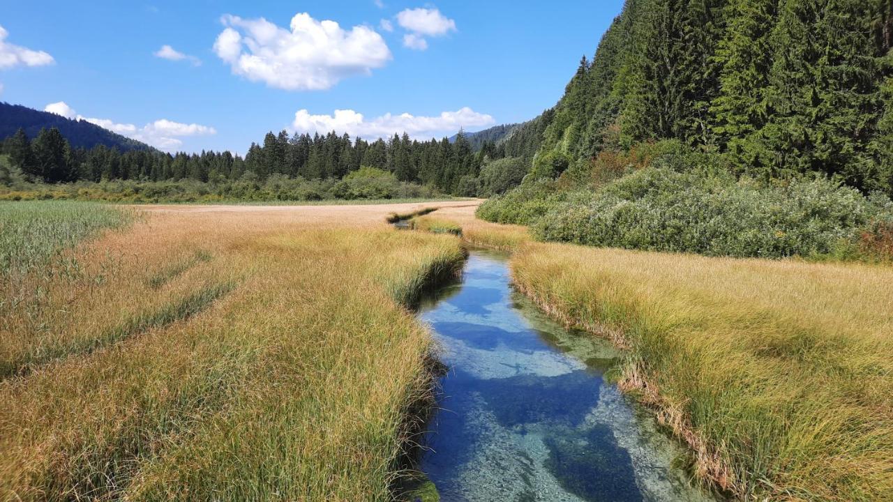 House Godec - Ratece Planica Lejlighed Kranjska Gora Eksteriør billede